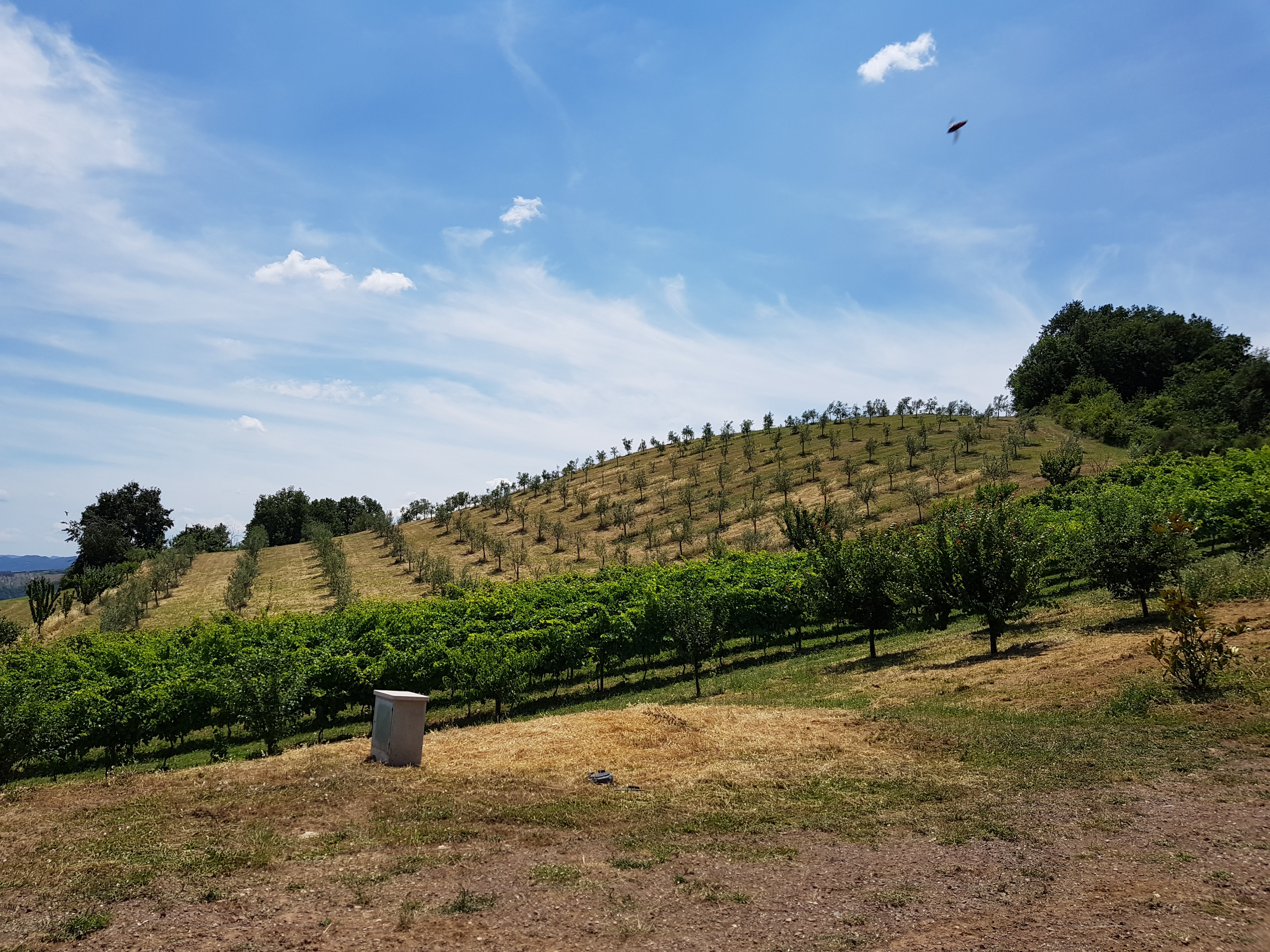 Le colline di Liano