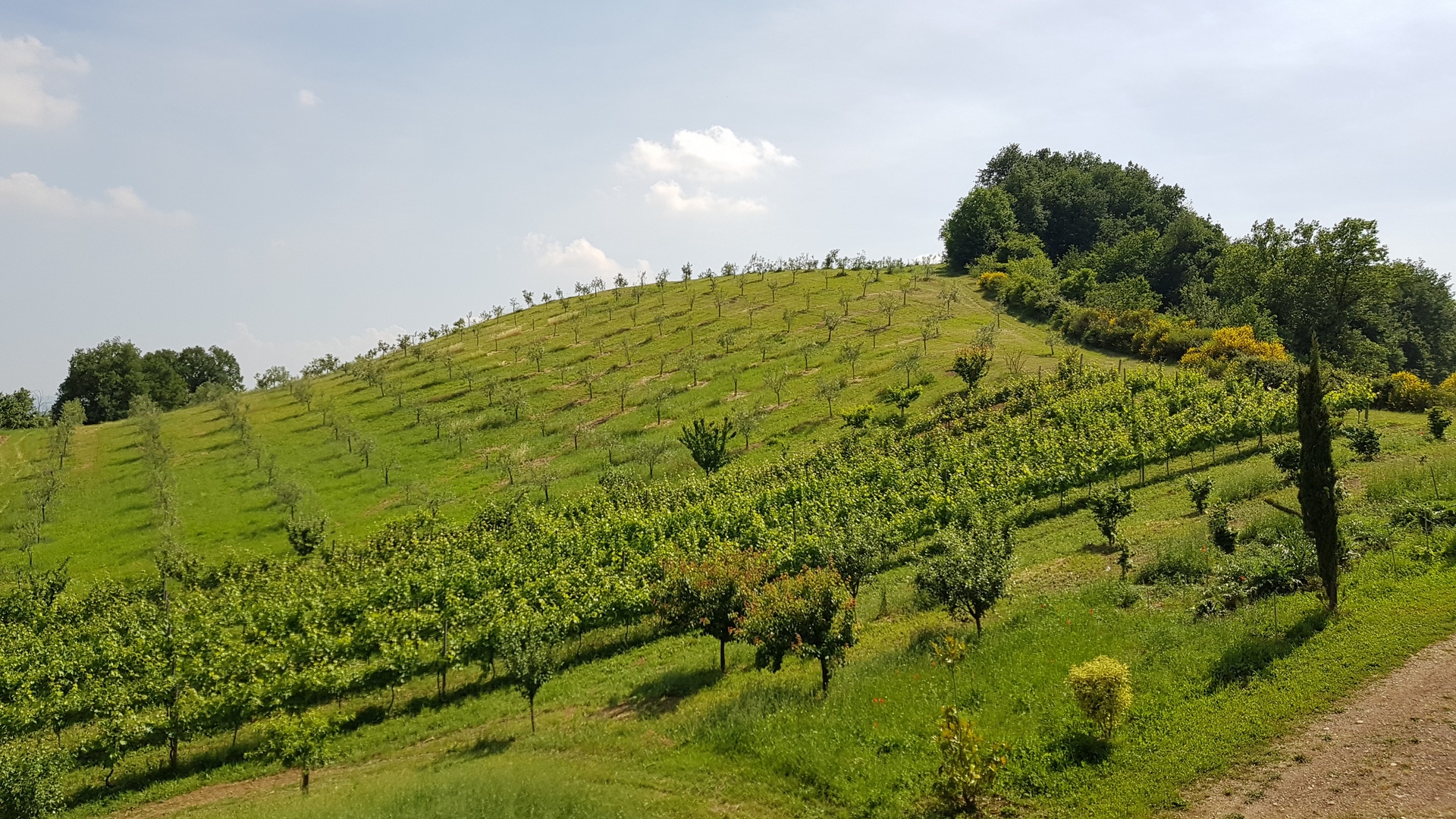 La storia del Castellazzo