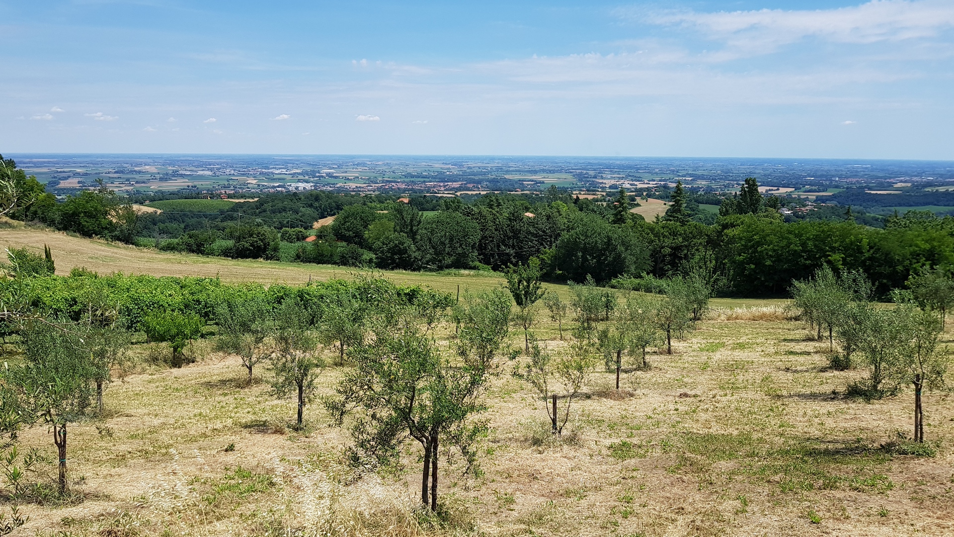 La tenuta del Castellazzo