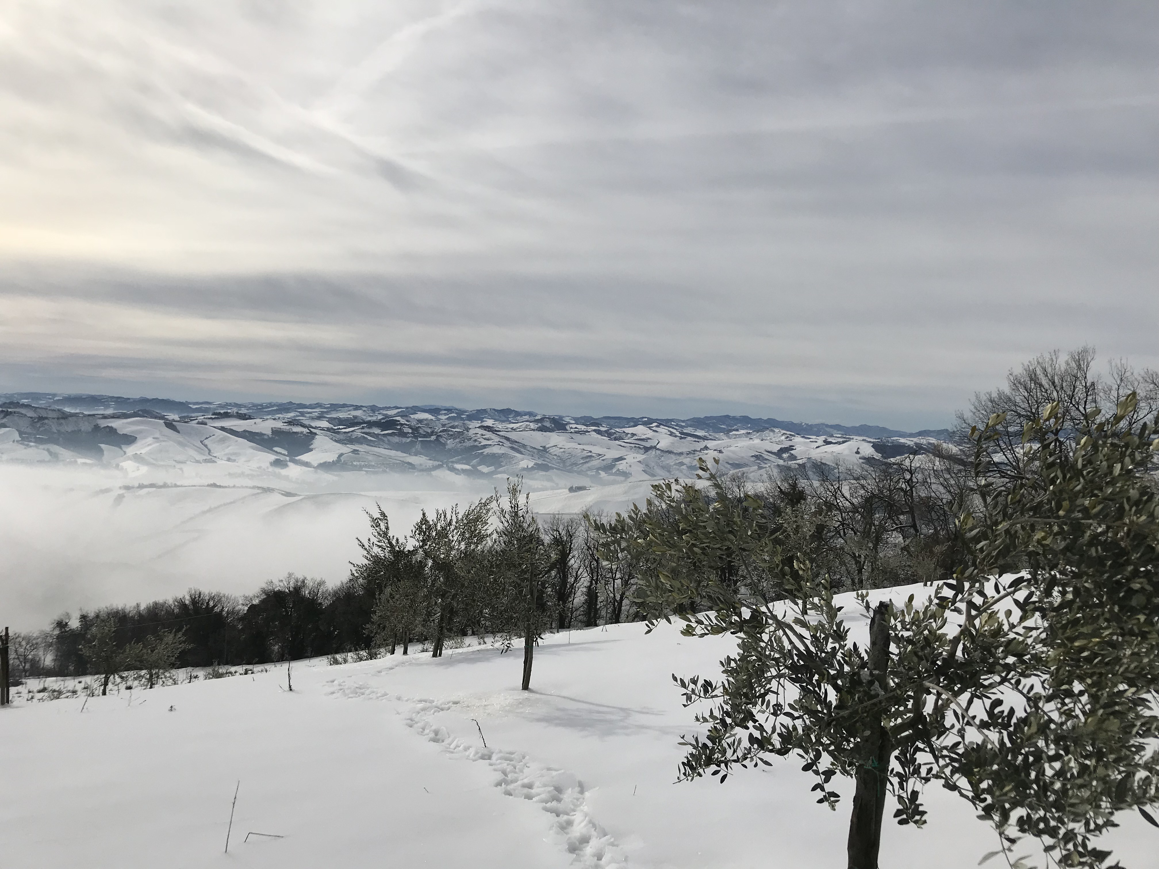 La tenuta del Castellazzo sotto la neve