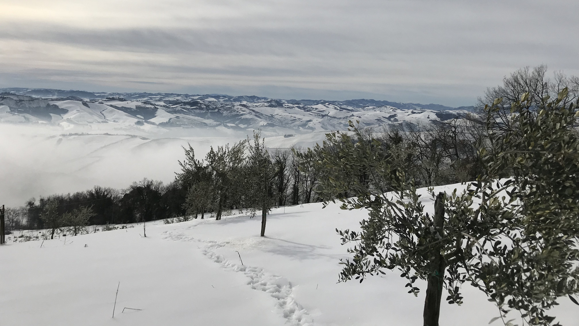 La tenuta del Castellazzo sotto la neve