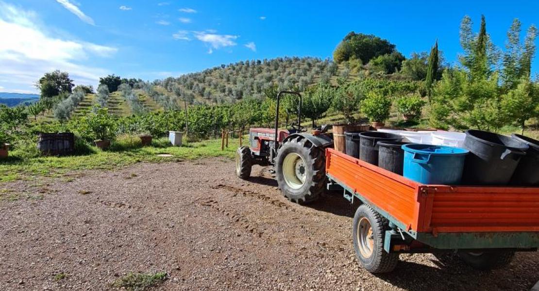 Campagna di produzione 2020