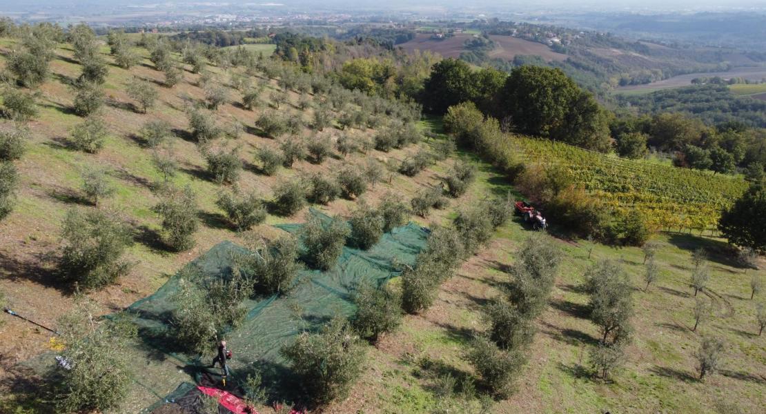 Campagna di produzione 2021