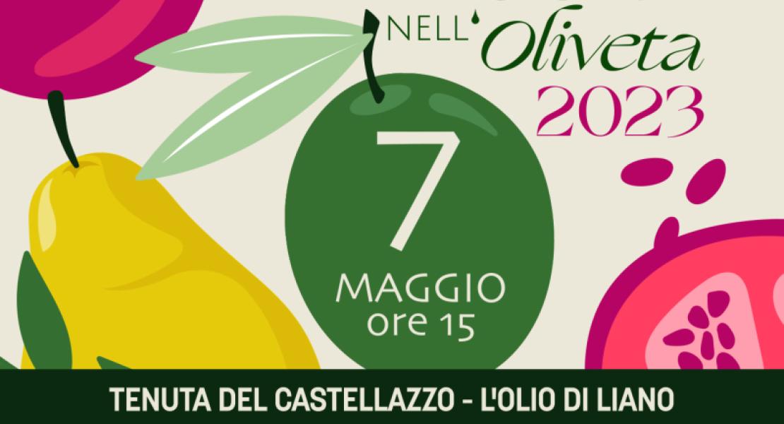 Merenda nell'oliveta