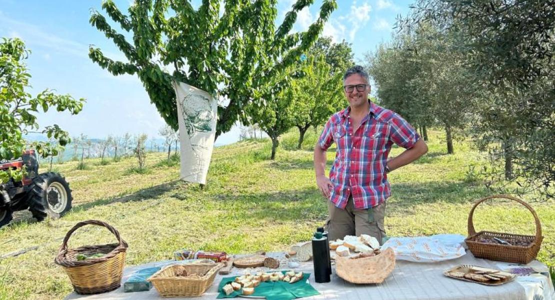 Merenda nell'oliveta