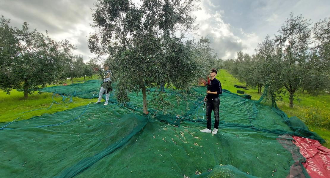 Campagna di produzione 2025