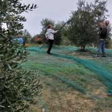 Campagna di produzione 2022