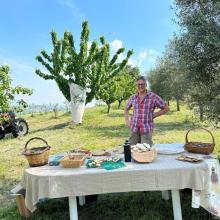 Merenda nell'oliveta