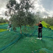 Campagna di produzione 2025