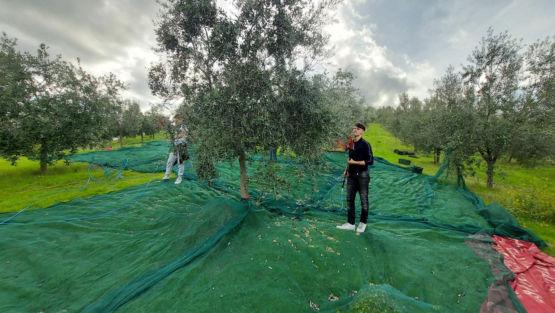 Campagna di produzione 2025